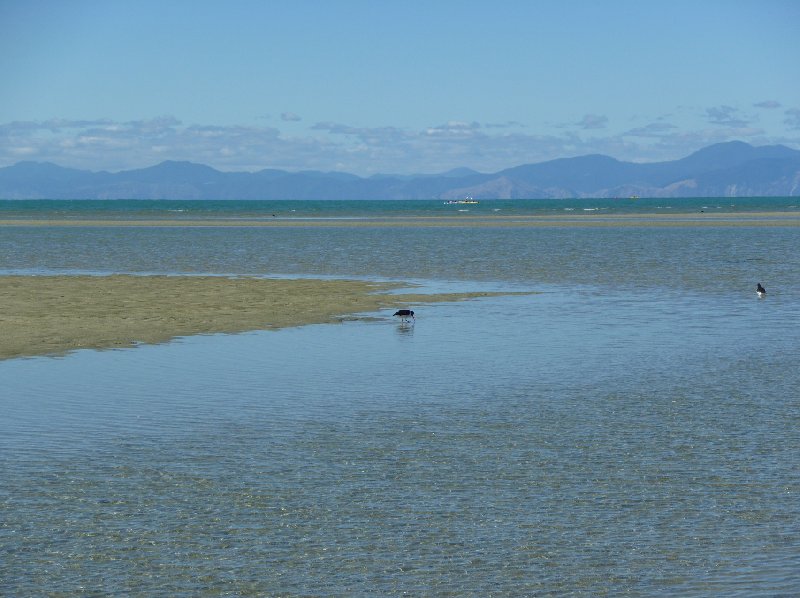 Abel Tasman tours New Zealand Collingwood Trip Picture