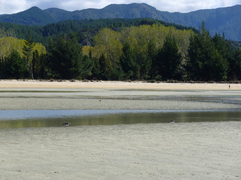 Abel Tasman tours New Zealand Collingwood Travel Photographs