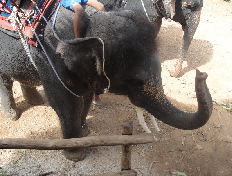   Krabi Thailand Photo Gallery