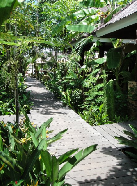   Krabi Thailand Trip Guide