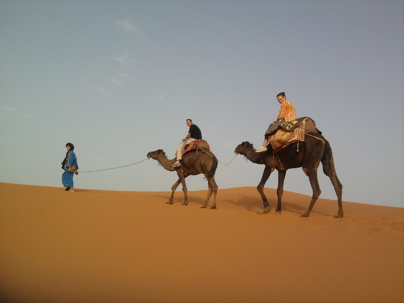 Merzouga Morocco Camel Trek Merzouga dunes