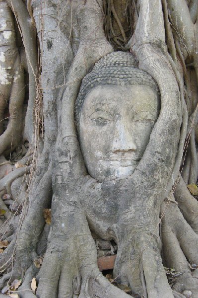   Ayutthaya Thailand Travel Album