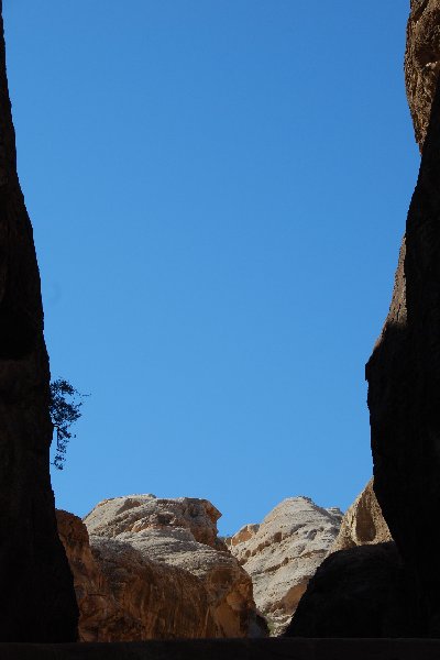 Petra Jordan 