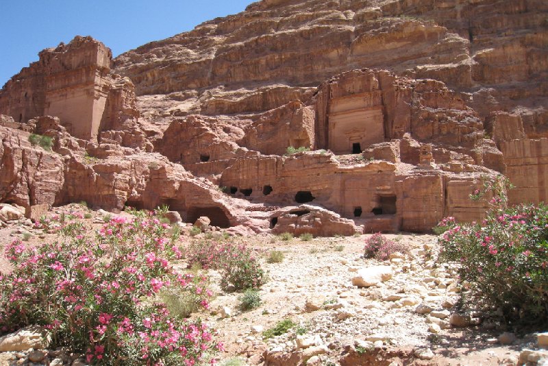 Photo Petra and Wadi Rum tours popular