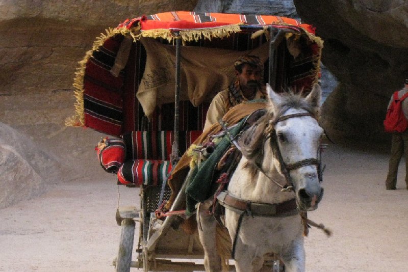 Photo Petra and Wadi Rum tours magical