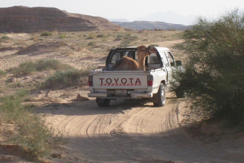 Petra Jordan 