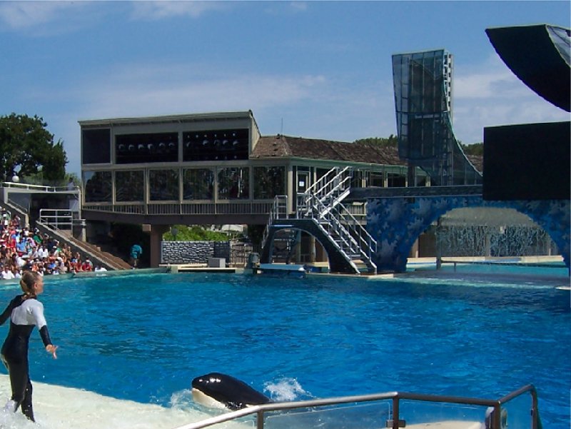 Photo Sea World tickets San Diego together