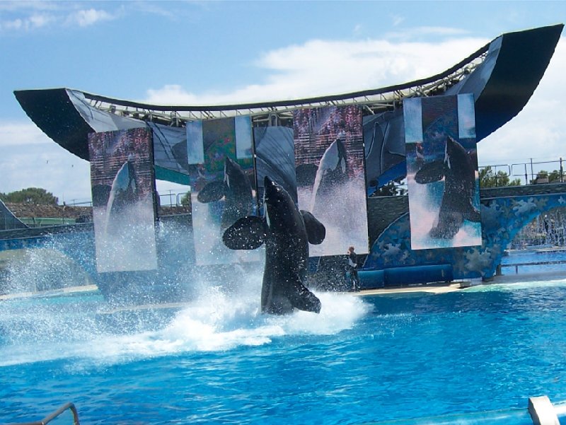 Photo Sea World tickets San Diego special