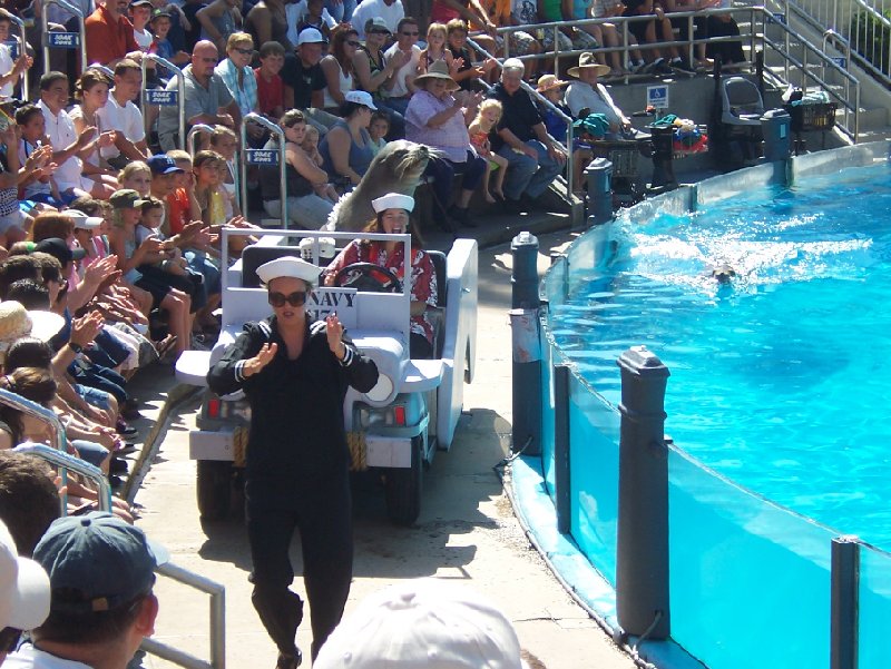 Photo Sea World tickets San Diego especially