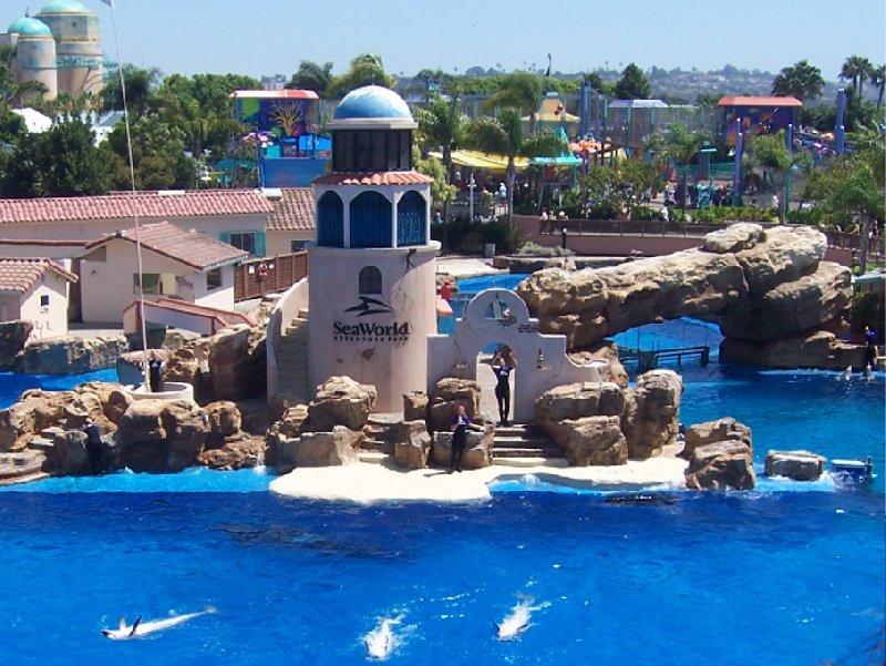 Photo Sea World tickets San Diego friends