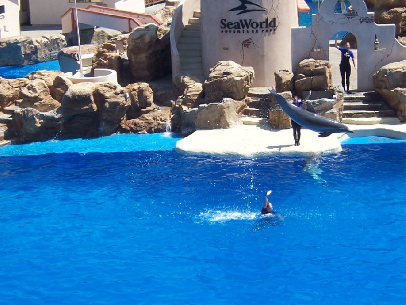 Photo Sea World tickets San Diego decided