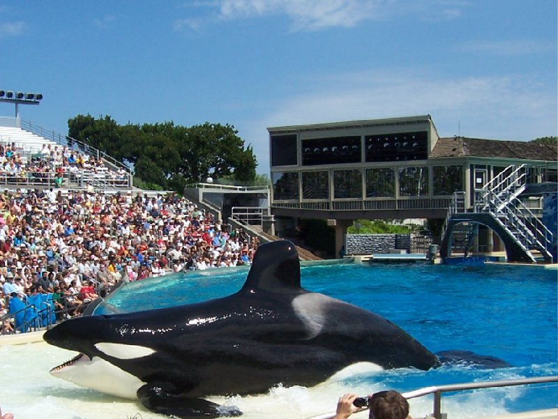 Photo Sea World tickets San Diego costed