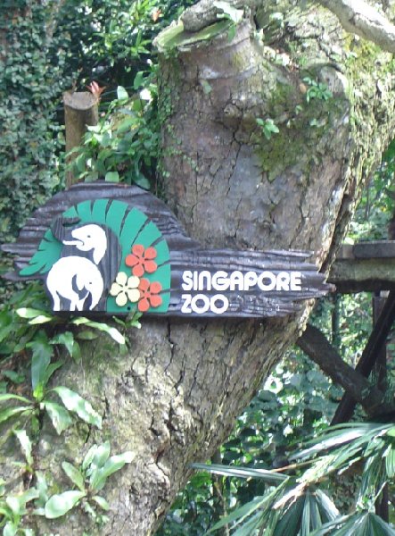 Photo Travel to Singapore wildlife