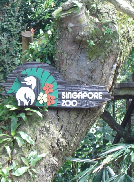   Singapore Trip Sharing