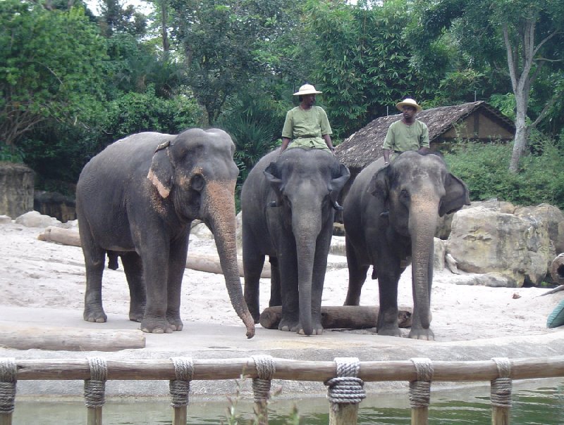   Singapore Travel Package