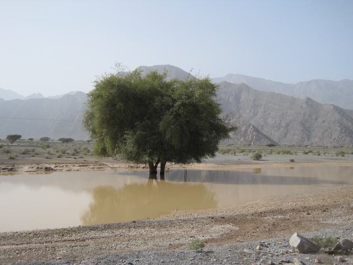 Khasab Oman 