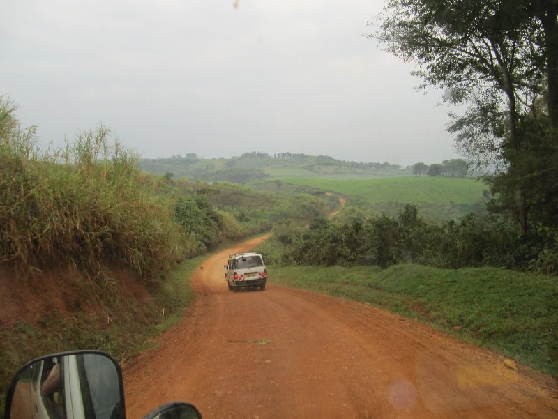 Photo Chimp trekking Uganda followed