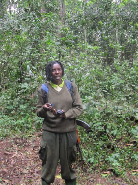 Photo Chimp trekking Uganda Portal