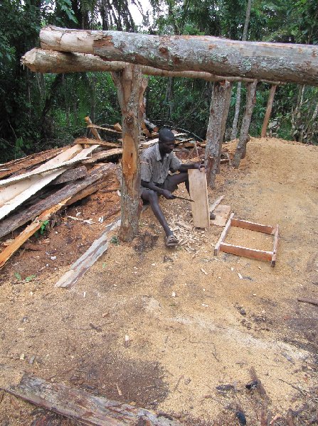 Photo Chimp trekking Uganda southwest