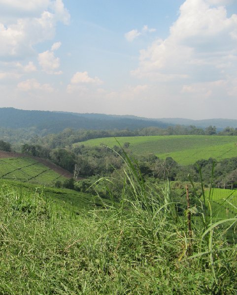   Fort Portal Uganda Vacation Information