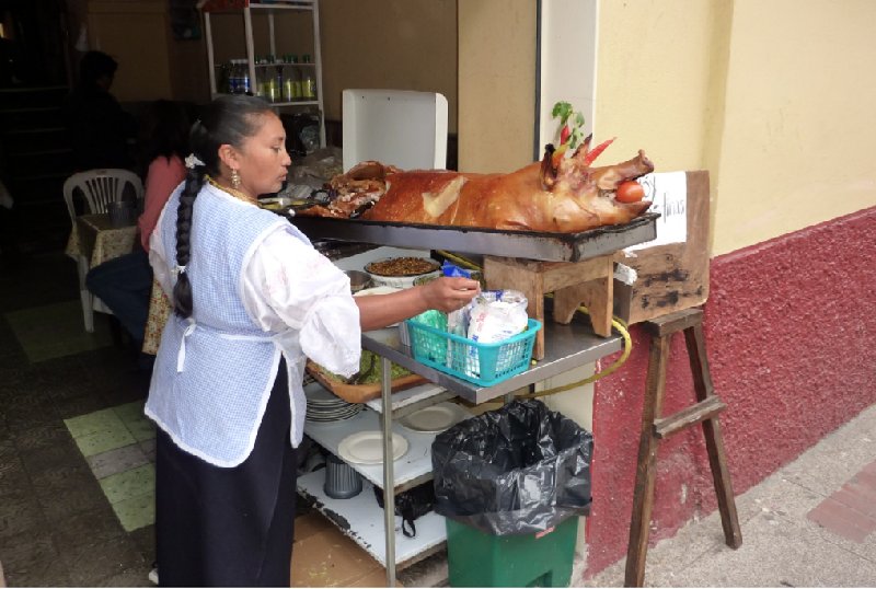 Excursion to Otavalo market Ecuador Travel Photos