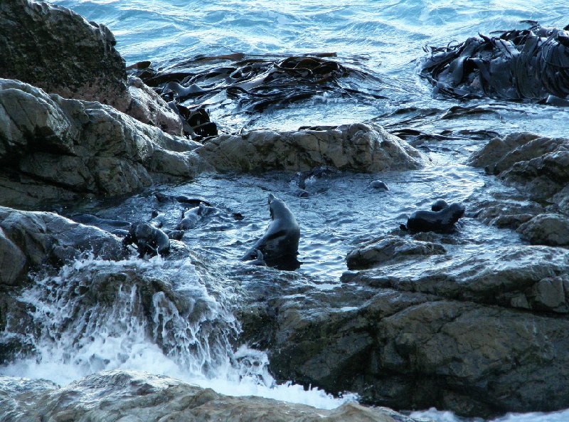 Touring from Kaikoura in Camper New Zealand Album Photographs