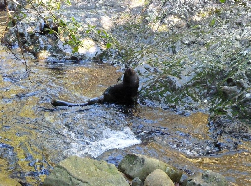   Kaikoura New Zealand Vacation Pictures