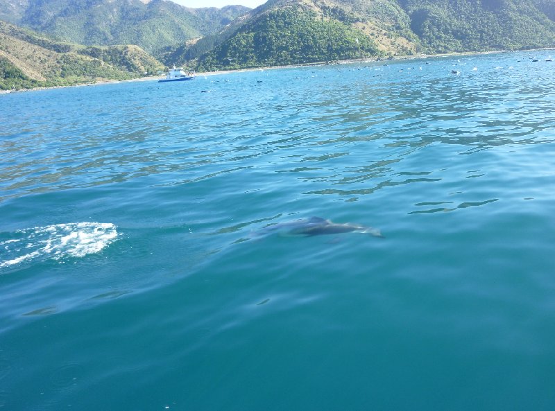 Touring from Kaikoura in Camper New Zealand Album Sharing