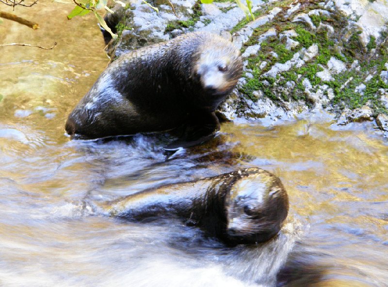 Photo Wildlife tours in Kaikoura New Zealand perfect