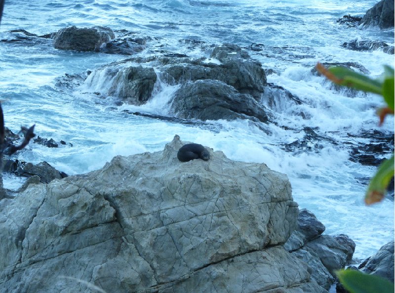 Touring from Kaikoura in Camper New Zealand Photo Gallery