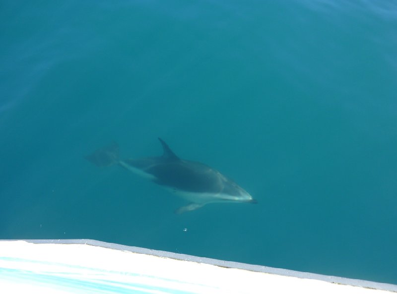 Kaikoura New Zealand 