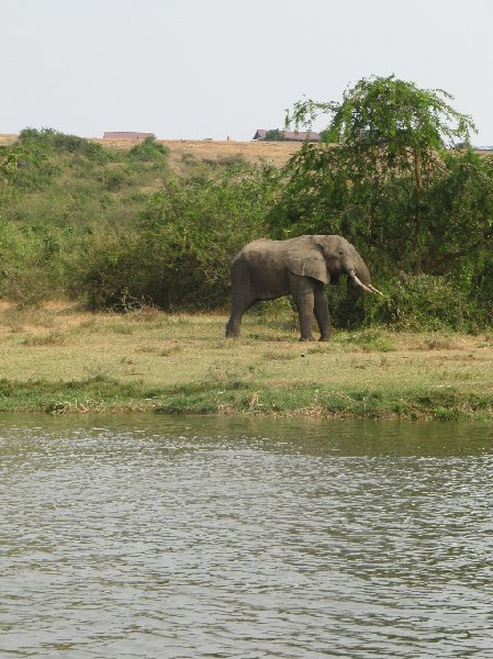 Uganda wildlife safari Kasese Diary Tips