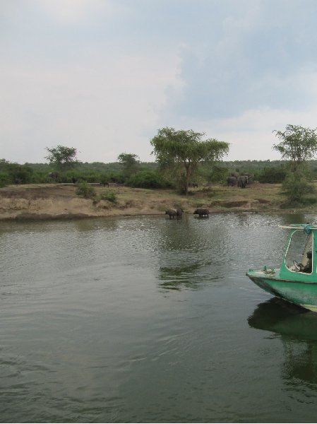 Uganda wildlife safari Kasese Trip Vacation