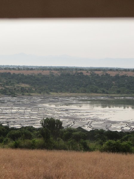 Uganda wildlife safari Kasese Travel