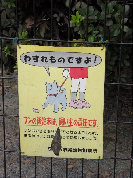 Photo Travel guide Kyoto Japan 