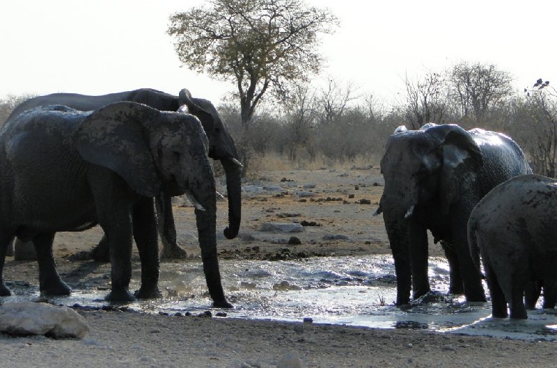 Namibia Kalahari Desert lodge safari Otjiwarongo Travel Review