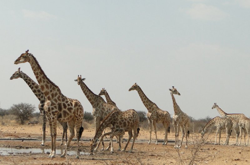 Otjiwarongo Namibia 