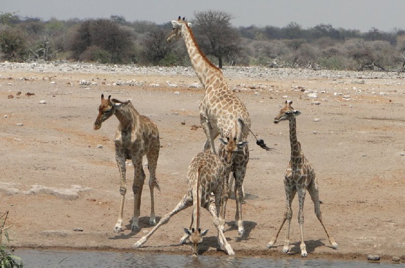   Otjiwarongo Namibia Travel Photographs