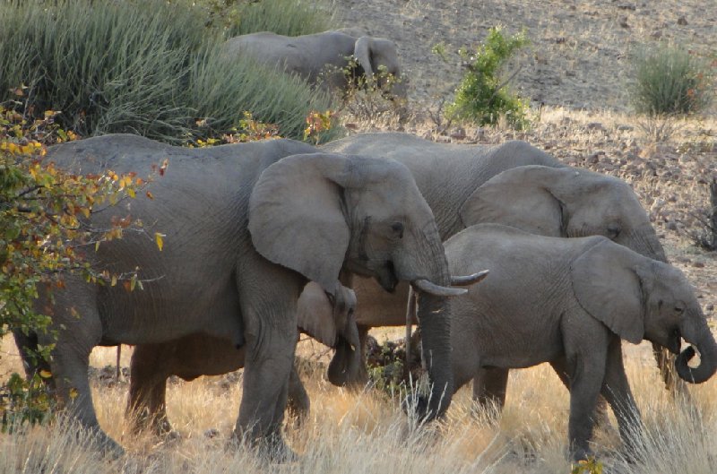   Otjiwarongo Namibia Photograph