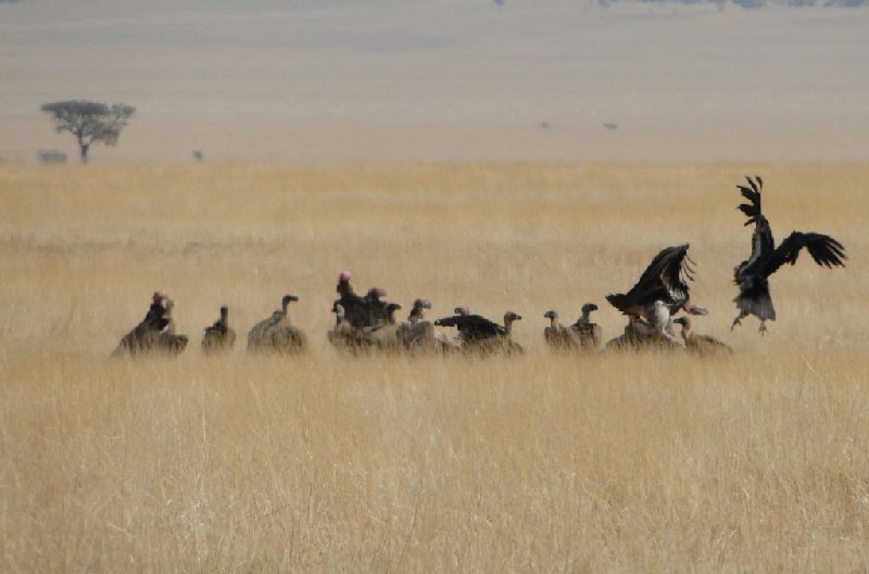 Otjiwarongo Namibia 