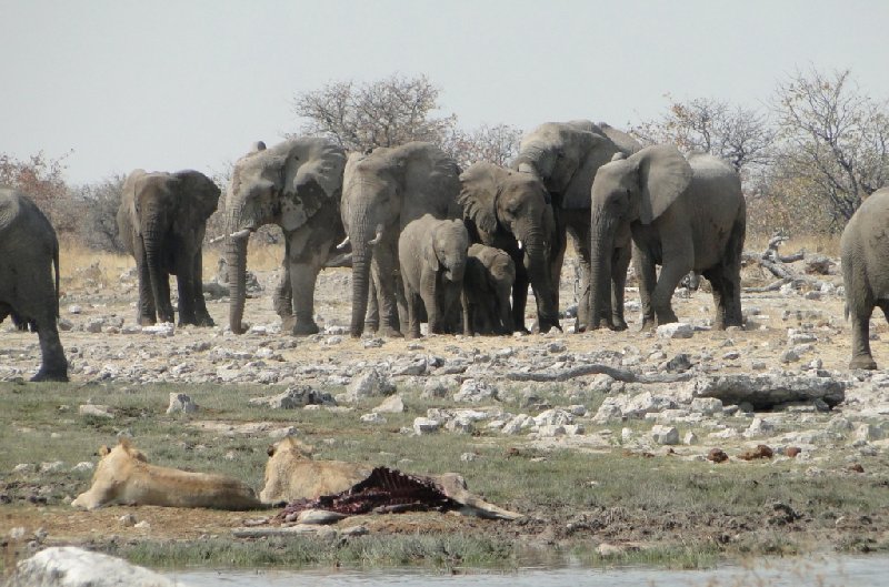 Otjiwarongo Namibia 