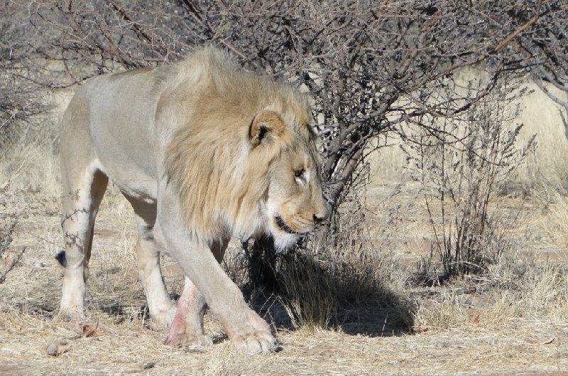 Otjiwarongo Namibia 