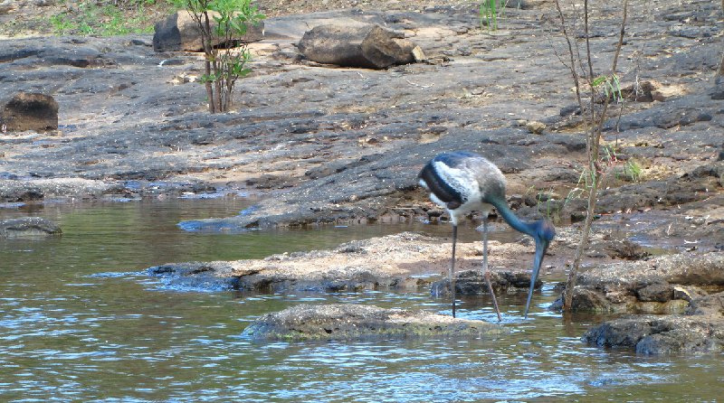 Photo Cape York camping tour from Cairns northernmost