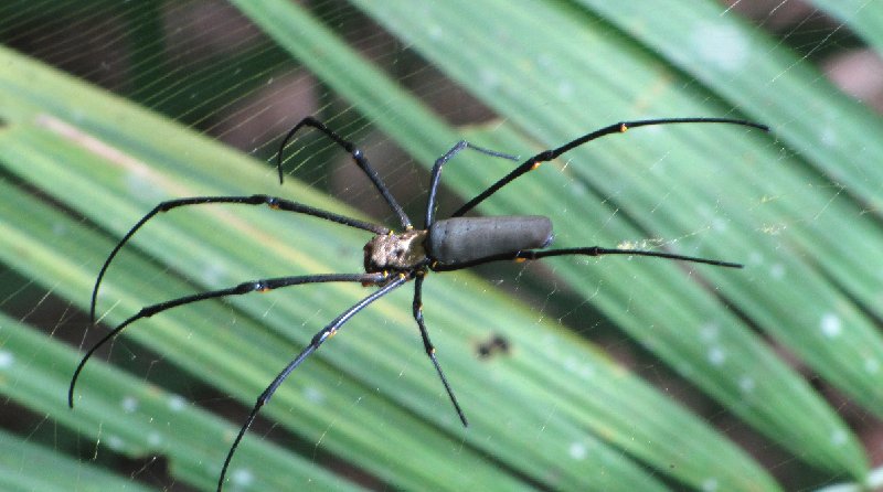 Photo Cape York camping tour from Cairns experience