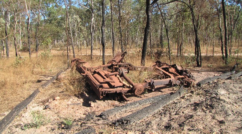 Photo Cape York camping tour from Cairns jungle