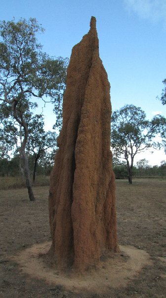 Photo Cape York camping tour from Cairns depends