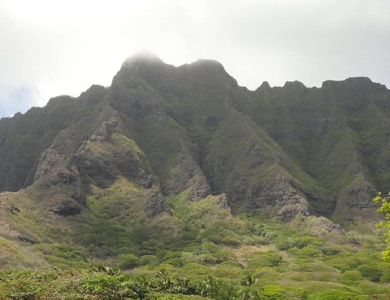 Photo Holiday in Honolulu Hawaii option