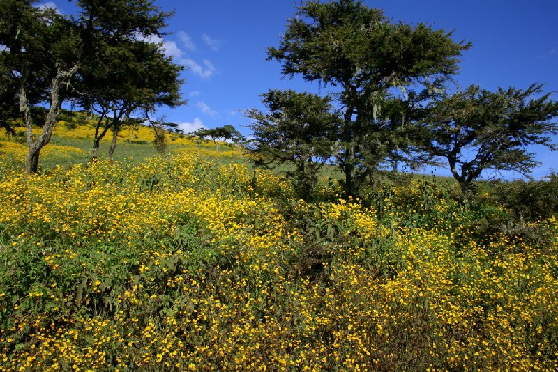 Ngorongoro Crater Lodge safari Tanzania Photographs