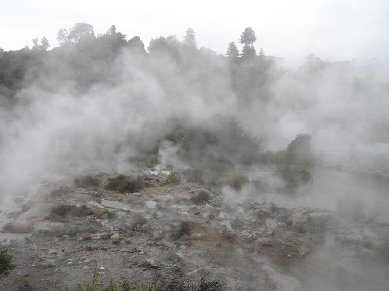 Photo Sightseeing Rotorua touring New Zealand touring