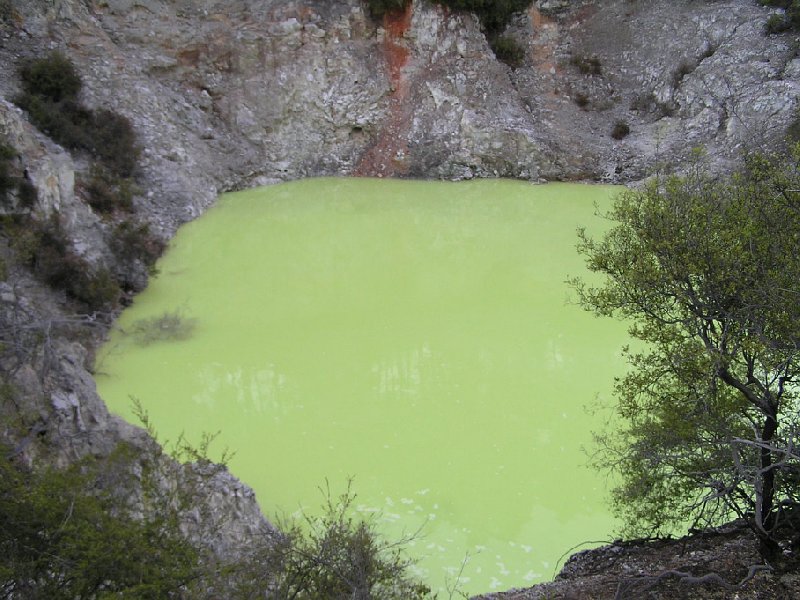 Day Trip to Rotorua from Auckland New Zealand Travel Experience